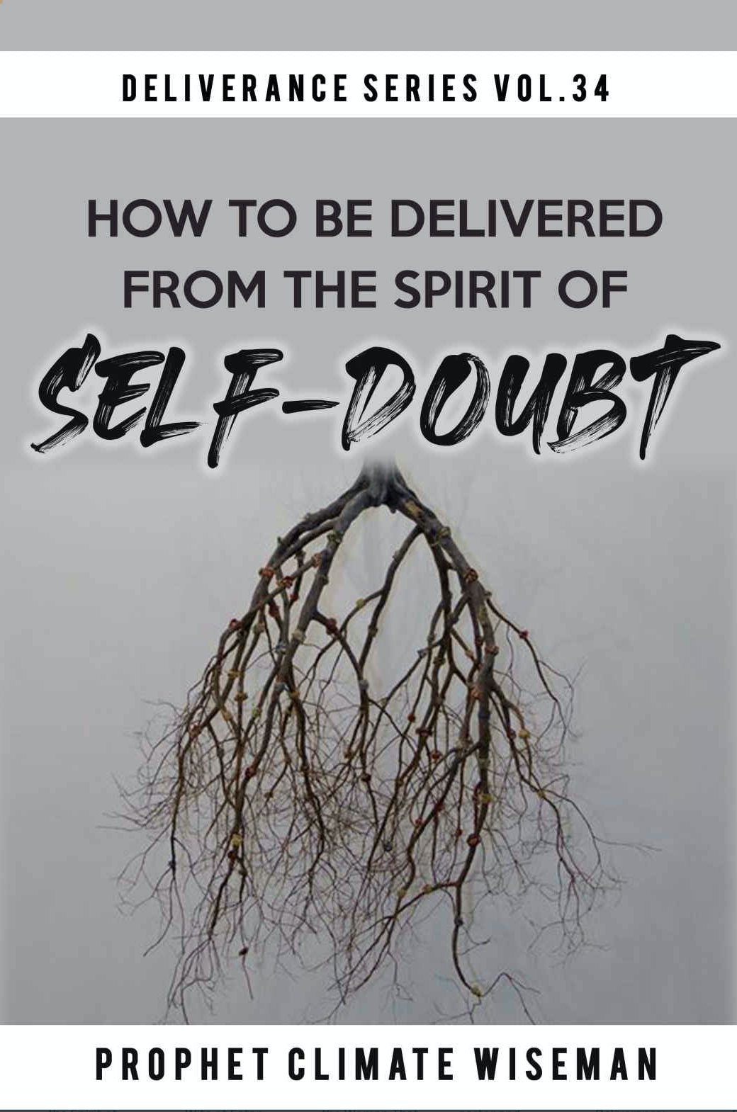 How To Be Delivered From The Spirit of Self-Doubt (EBOOK) MIDNIGHT PROMO