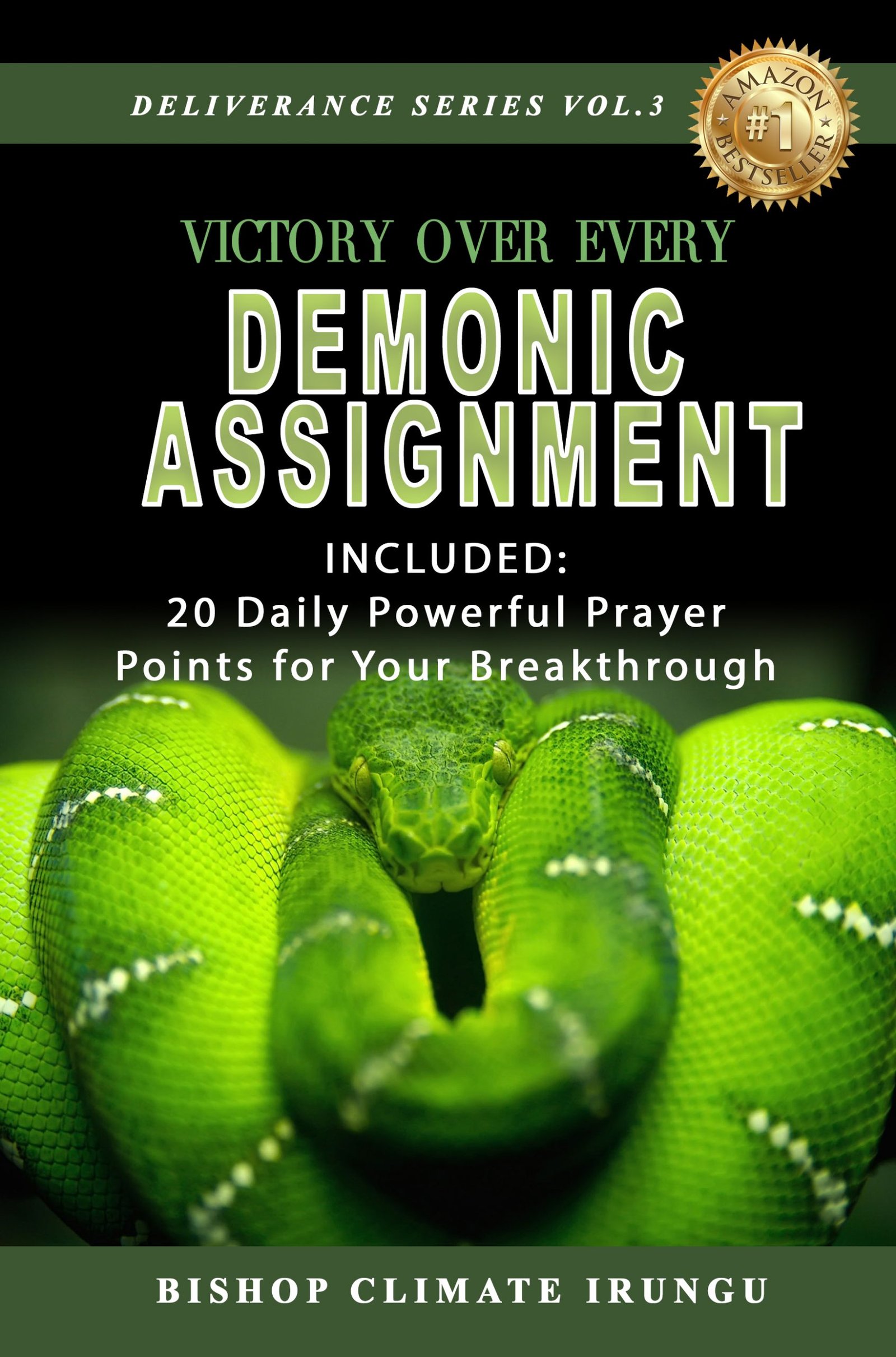 Victory Over Every Demonic Assignments (Deliverance Series Vol. 3)